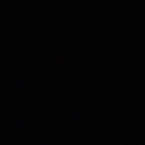 Meet your Posher, Bonnie